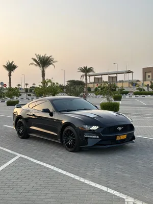 Used Ford Mustang in Muscat