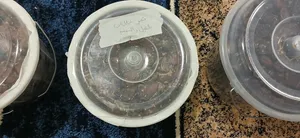 تمر خلاص إنتاج سمدالشان