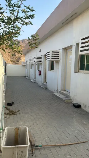 للإيجار سكن عمال من 10 غرف 10 حمامات 2 مطبخ