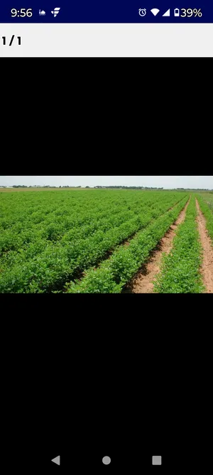 الحصن سعوة والسرج قطعة سكنية مميزة جدا من المالك مباشرة