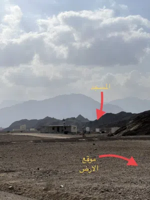 أرض سكنية / العامرات مدينة النهضه