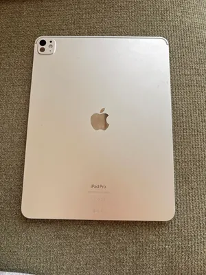 iPad Pro m4 13 inch and iPad model A2428
