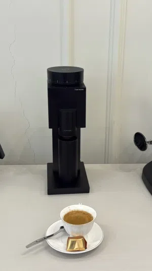 تايمور بركس 01s