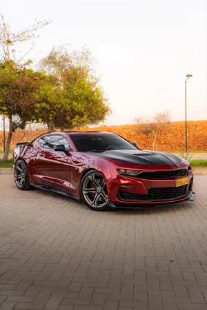 Used Chevrolet Camaro in Muscat