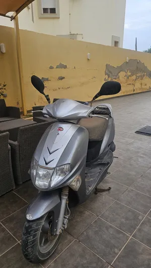 فيزبا سعر حرق