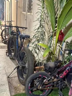 By cycle available