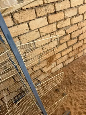 للبيع تتتت