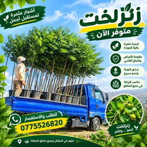 كافة أصناف الأشجار المثمرة الزينة