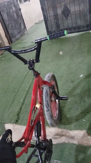 بسكليت كوبرا أمريكي