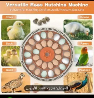 فقاسه حجم 30 بيضه اوتوماتيك جديده بالكرتون