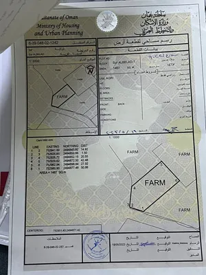 ارض زراعيه صور قرن بو عباس