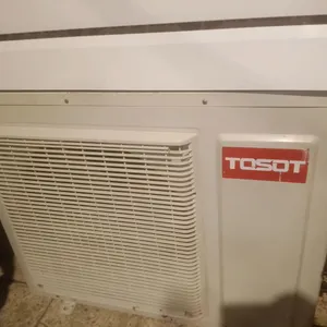 سبلت نوع توسوت اصلي