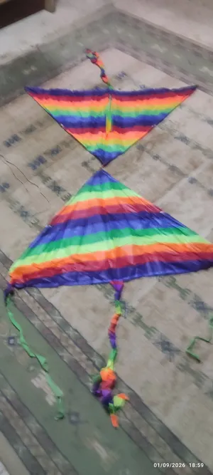طائرة هوائية