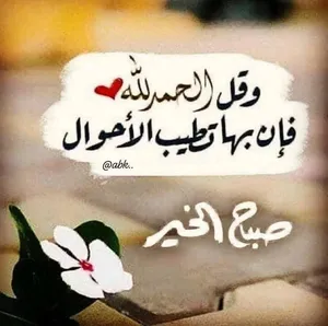 شقه للايجار