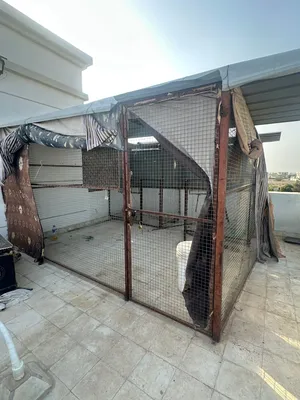 قفص نضام غرفه جداً ممتاز