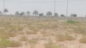 أرض في منطقة الختيم، أبوظبي، مساحتها 294,000 قدم مربع.  أرض مناسبة لجميع أنوا السعر المطلوب للمستثمر