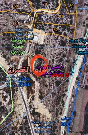Mixed Use Land for Sale in Tulkarm Deir Al-Ghusun