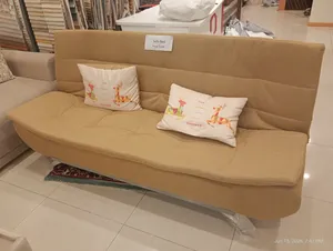 Sofa Cum Bed-Made in China