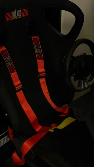 next level racing F-GT + GTultimate