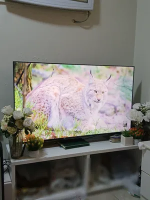 Haier Android TV DVB available for sale