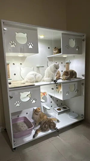 بيوت قطط وكلاب بأحجام مختلفه صنع محلي cat and dog houses