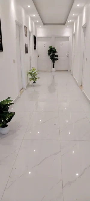 50 m2 2 Bedrooms Apartments for Rent in Irbid Mojamma' Amman Al Jadeed
