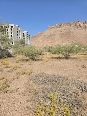 Commercial Land for Rent in Al Dakhiliya Nizwa