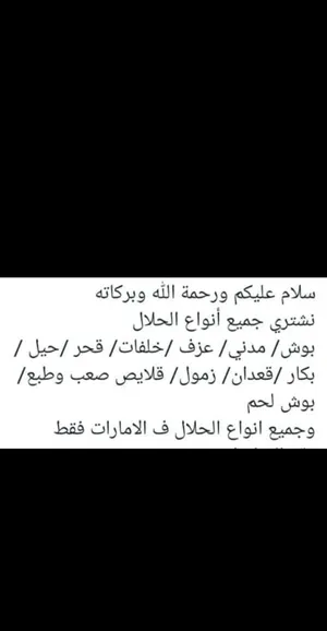 نشتري جميع انواع الحلال
