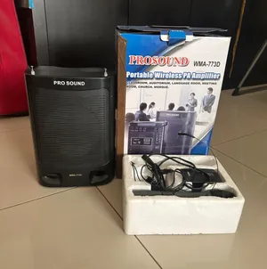 Speaker with wireless microphones