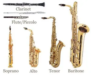 Alto Saxophone Music Teacher