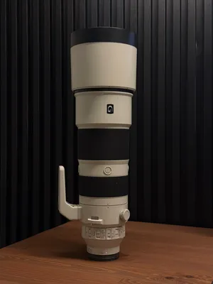 Sony 200-600 G / FE 5.6-6.3