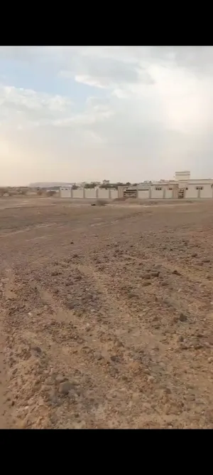 ارضين للبيع في السليف وشلاشل القديم