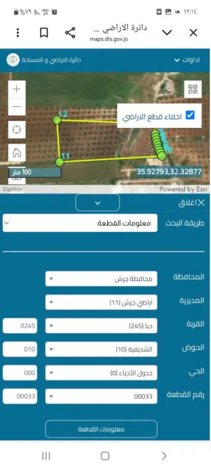 للبيع ارض زراعية مميزة في منطقة جبا محافظة جرش مزروعة 200 شجرة زيتون من الانخب الاول في ذروة انتاجه