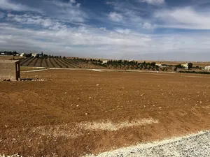 Farm Land for Sale in Amman Al Jizah