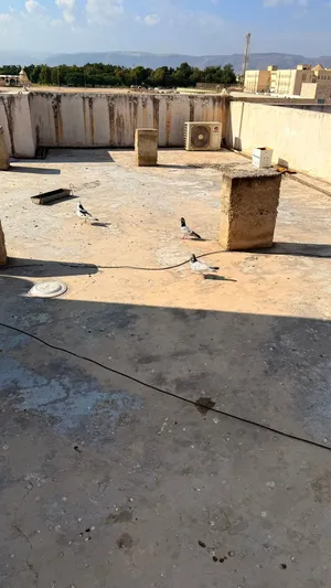 9حمام 10 ريال قابل باقل