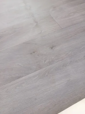 باركي بلجيكي