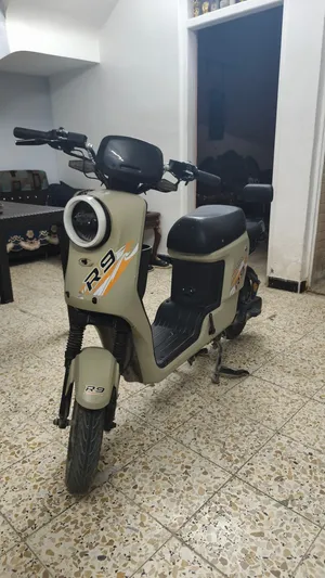 دراجة R9 شحن حجم كبير