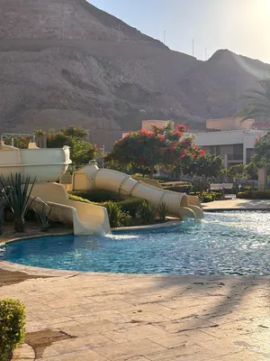 1 Bedroom Chalet for Rent in Aqaba Al-Markaziya