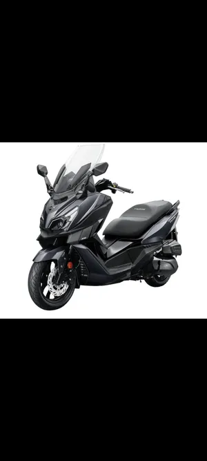 Sym Z300 JOYMAX
