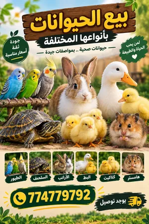 حيونات للبيع ايش طلبك طيور ارانب عصافير سلاف وغيره بأسعار ممتازه وبضاعه مضمونة