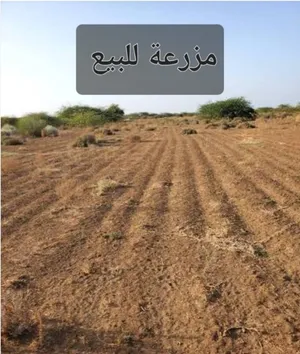 Mixed Use Land for Sale in Tunis Other