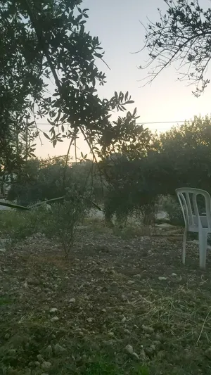 Mixed Use Land for Sale in Tulkarm Far'un