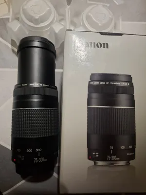 CANON 75 300 MM LENS.
