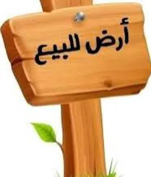 قطعة أرض 500م للبيع متفرعة من شارع الشجر القوارشة