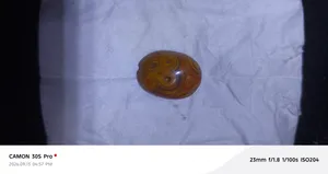 حجر العقيق العيني