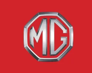 قطع غيار  MG  spare parts MG يتوفر لدينا قطع غيار جديد و مستخدم المعبيلة الصناعية