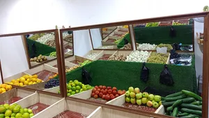 ديكور مخضر للبيع