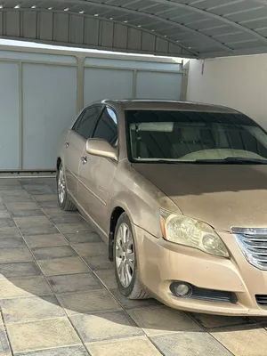 افلون 2008