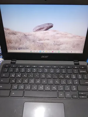 Acer Chromebook