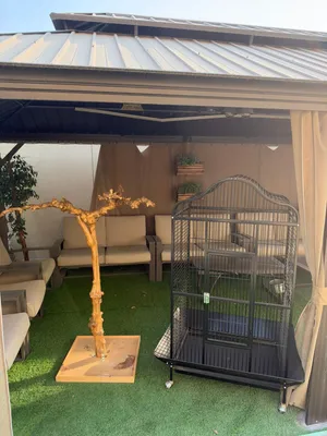 للبيع قفص كبير جداً جداً يتحمل 2 ماكاو حجم كبير من المساحة الكبيرة مطلوب فيهم 1200 توصيل على المشتري